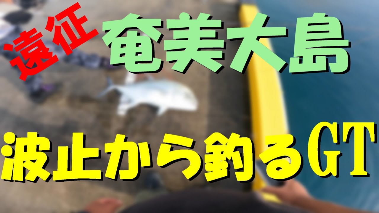 奄美大島遠征　波止から釣れるあの巨大魚！