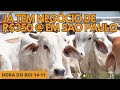 HORA DO BOI 14/11 - JÁ TEM NEGÓCIO DE R$ 350 @ EM SÃO PAULO