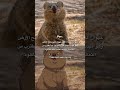 فهموتوووني