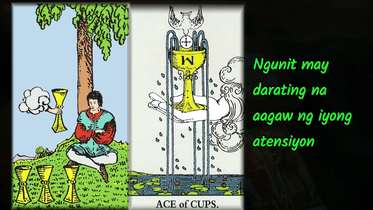 TAURUS TAROT READING 2026 (People Born on Apr 20 - May 20)