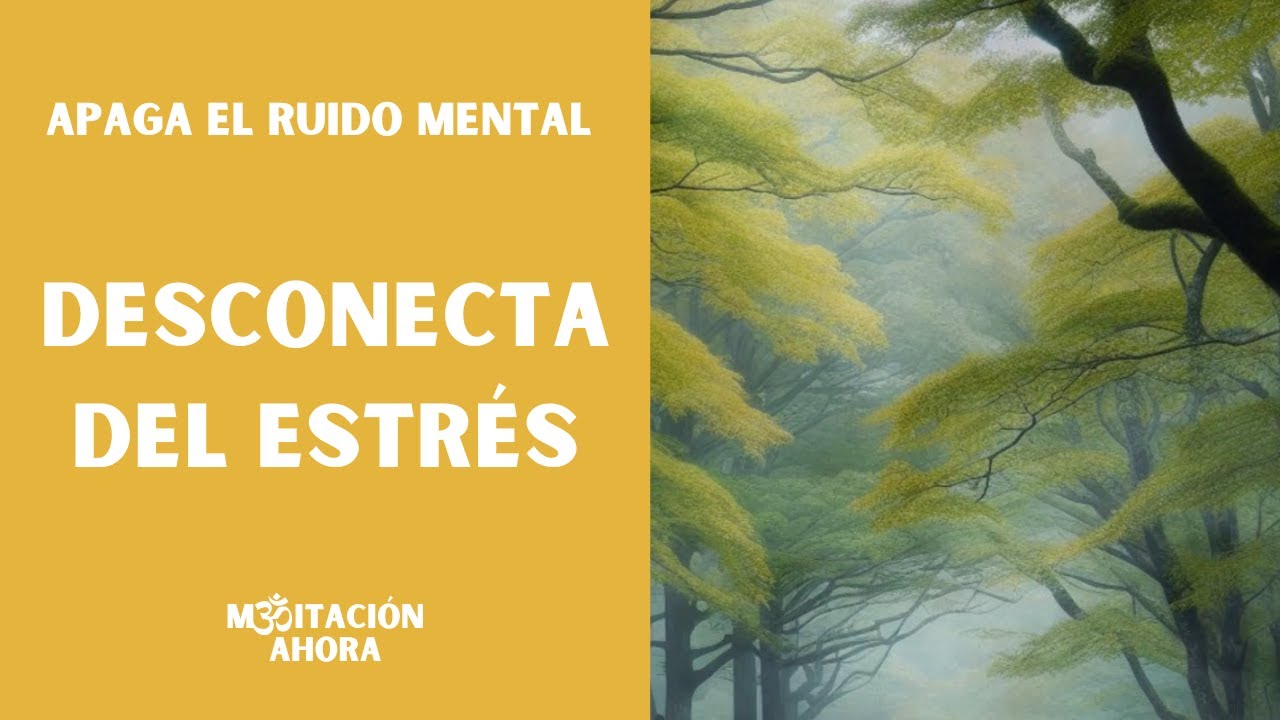 DESCONECTA EL RUIDO MENTAL y alivia el ESTRÉS en tu día a día. - YouTube
