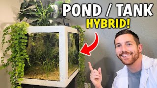 Indoor / Outdoor Aquarium Pond Hybrid Build!