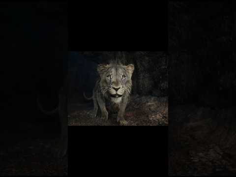 Mufasa The Lion King 4K edit full attitude royal entry goosebumps moments