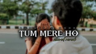 Tum Mere Ho Slowed Reverb Romentic Mood Mix Song New Lofi Remix Songs 2026