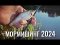 Мормишинг 2024. Ловля плотви та краснопірки спінінгом на мормишку