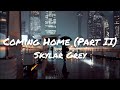 Skylar Grey - Coming Home (Part II) (Lyrics)