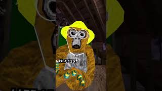 day 0 #gorillatag #vr #gtag #meta #gorilla #monke #facts