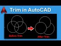 How to trim in AutoCAD any version