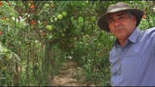 Mejoramiento Huertos Frutícolas:  Huasco, Canto del Agua