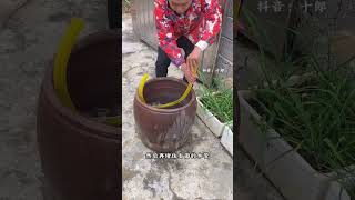 Automatic Water Drainage Trick: Effortless Home Solution