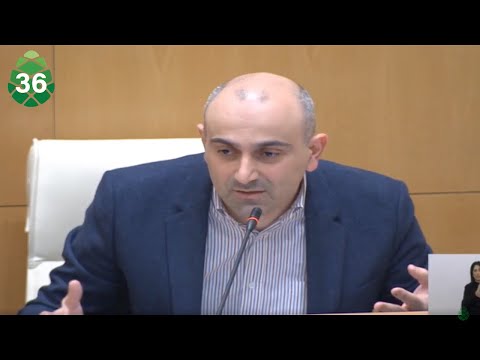 ჩვენ ყველაფერი ავაწყვეთ და ჰარვარდს ვაფინანსებთ უკვე?! - სანდრო რაქვიაშვილი