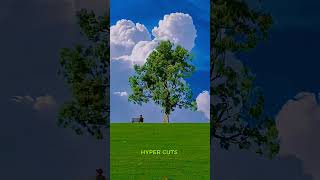 Chubina | East Duo | Relaxing Music Video #aesthetic #nature #hypercuts #edit