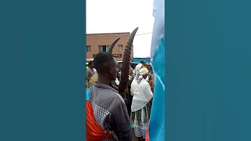 ከፍቾ ዘመን መለወጫ በዓል አከባበር 2016 