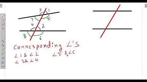 MLZS JHANSI CLASS 7 Mathematics Chapter 5 Lines and angles Lecture 4