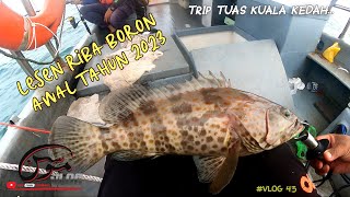 KERAPU BORON  DI TUAS KUALA KEDAH | #vlog45