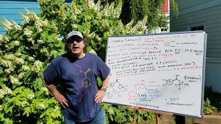Epinephrine - Dr. Jim Romano - DAT Destroyer | DAT Destroyer