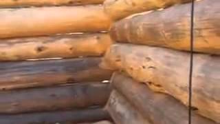 Maple Island Log Homes