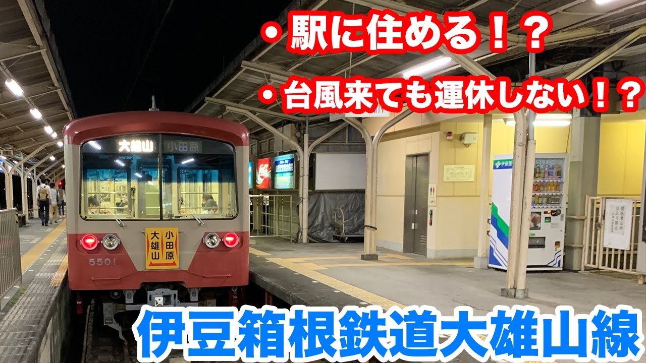 【大雄山線】駅に住める路線！？