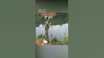 Câu Cá Diếc | A QUANG TV #shorts