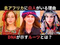 なぜ北アフリカに白人がいるのか？いつどこから？DNAから分かる彼らのルーツとは？
