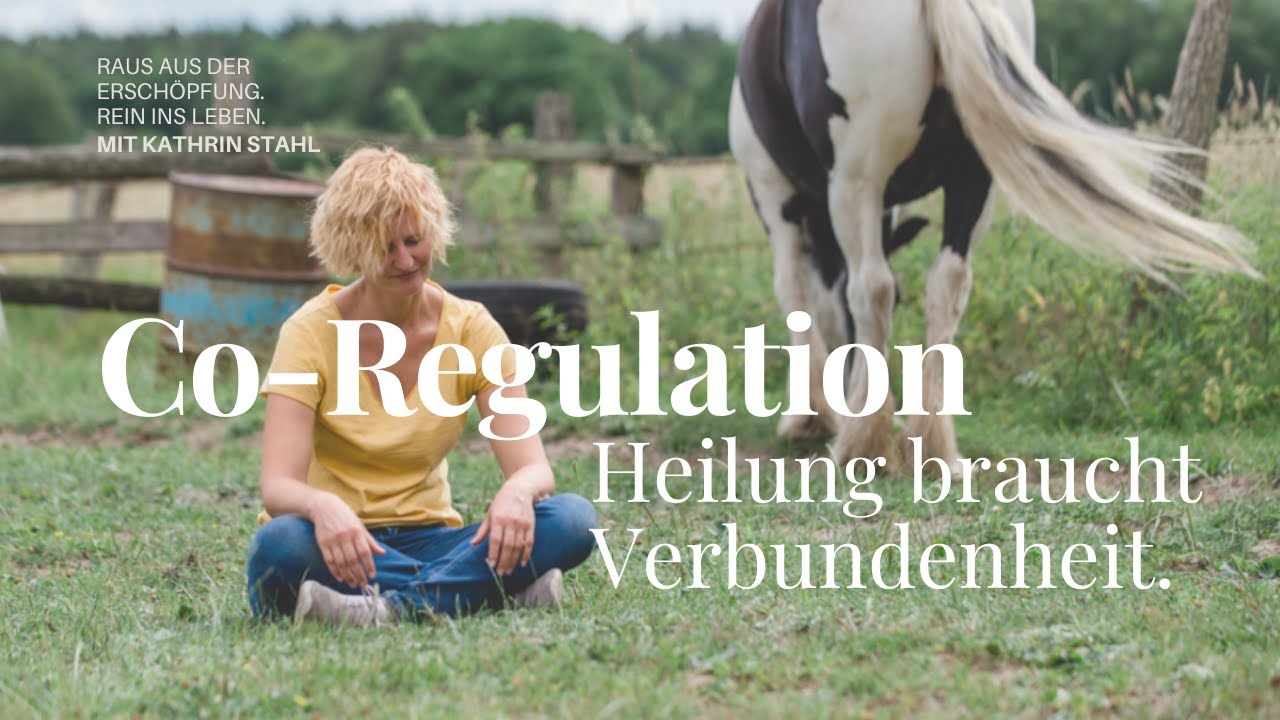 Warum Selbstregulation nicht reicht: Du musst das nicht alleine schaffen.