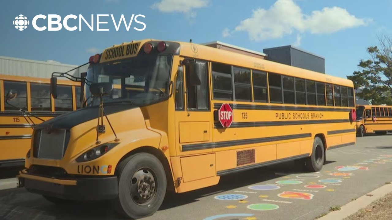 Electric school buses on P.E.I. 'confirmed safe' after inspections