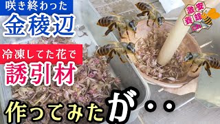 分蜂群自然入居の為に誘引餅を作ってみた。金稜辺が終わったので次は 
