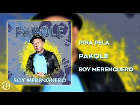 PIÑA Pela 🍍 - Pakolé [Audio Cover]