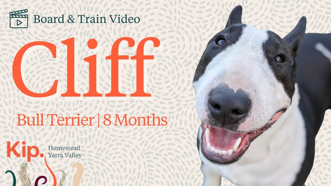 Cliff Training Video - YouTube