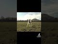 до конца!