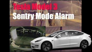 Tesla Model 3 Sentry Alarm Demo : Parking Garage Mishap