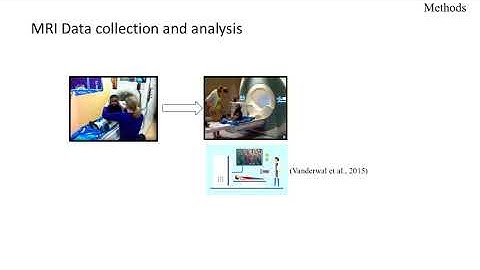 OHBM 2018 | Symposium | Fengji Geng | Memory and hippocampal functional connectivity during early …