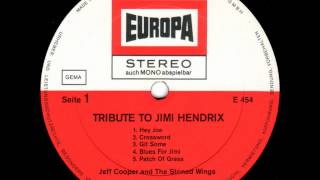 Jeff Cooper And The Stoned Wings - Blues For Jimi