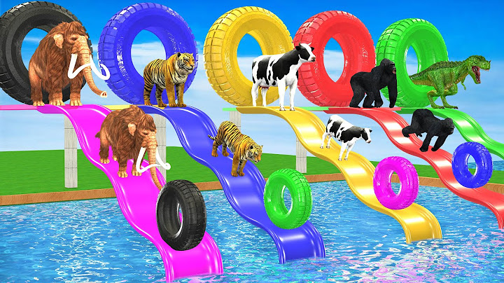 Choose The Right Tire with Cow Tiger Elephant Mammoth Buffalo Gorilla  Wild Animals Scary Teacher