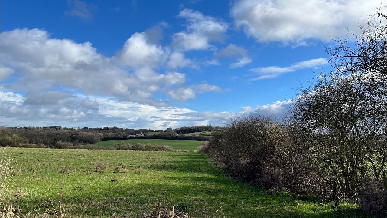 Weekly walk #44 Brizlincote, The National Forest | ASMR | No Music | Nature Sounds
