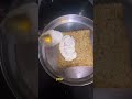 Healthy chickensandwich for kids #healthyparenting #healthykids #healthyeating #healthyrecipesshorts