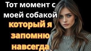 Пустоту, которую не смог заполнить муж… заполнил мой пёс. эмоциональные истории.
