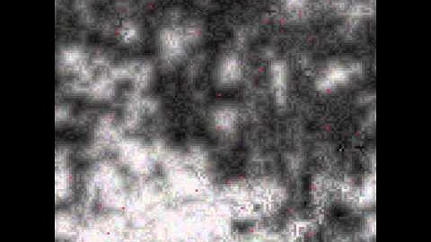 Experiment with Cellular Automata Timelapse (Sped up version)