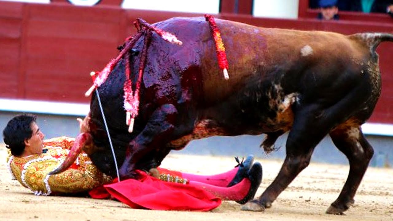 bullfighting accidents