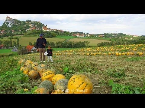 Dünyanın Tadı - 7 Ekim Avusturya Tanıtım