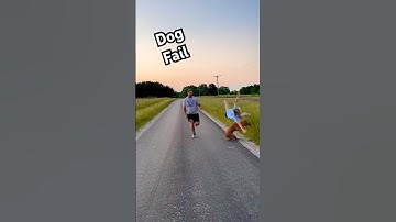 Dog Knocks Girl Over During Race With Dad