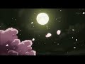 Amorf Çöl Slowed Reverb 
