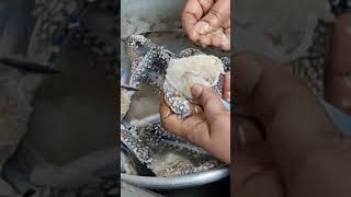How I clean crab shortsfeed shortsyoutube tamilnews tamil  tamilshorts