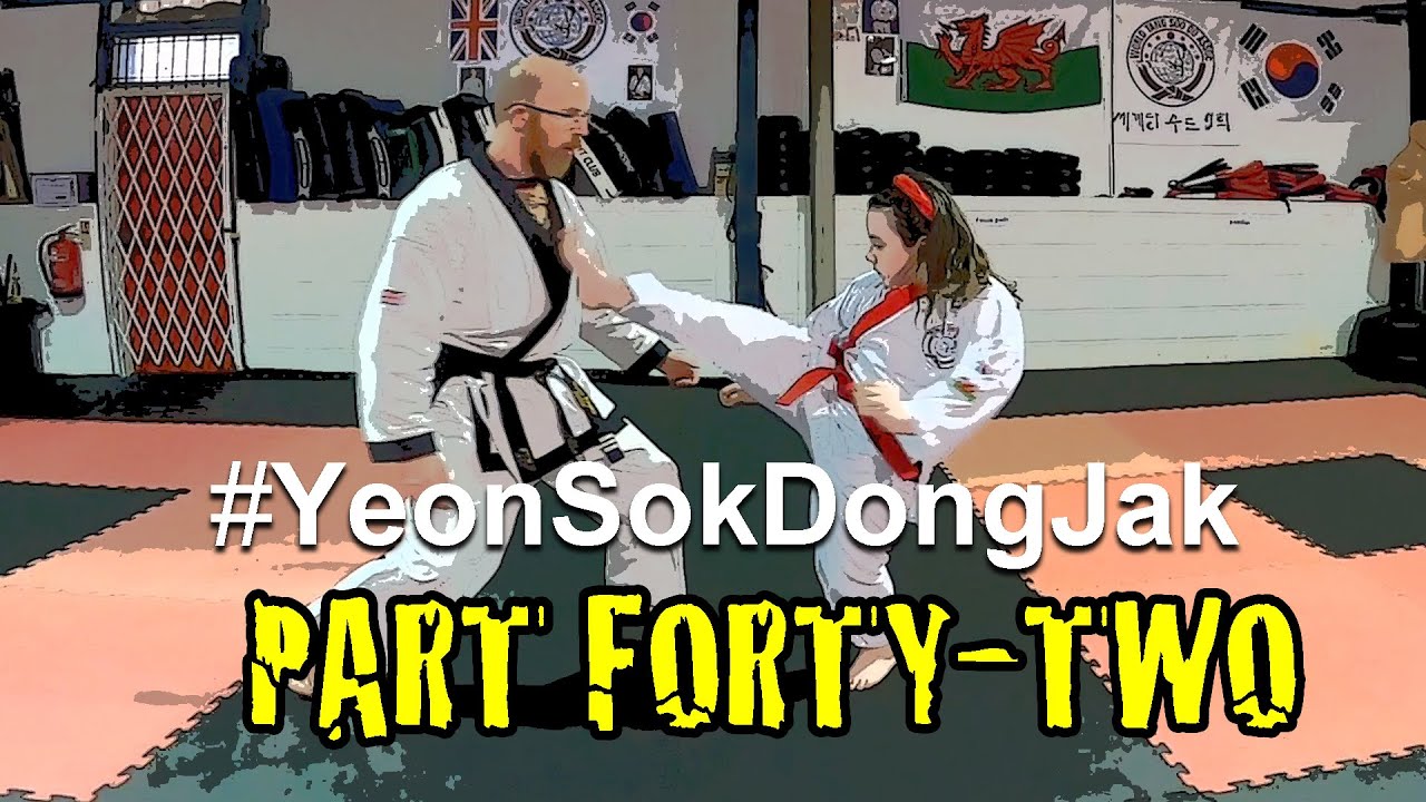 Wtsda Wales Tang Soo Do (WTSDA) Combo Series - Part 42 - YouTube