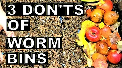 Stop doing these 3 things to be a better worm farmer