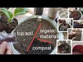Paano magpunla ng PECHAY. Complete Guide for beginners. (garden soil/sowing mix, compost,Fertilizer)