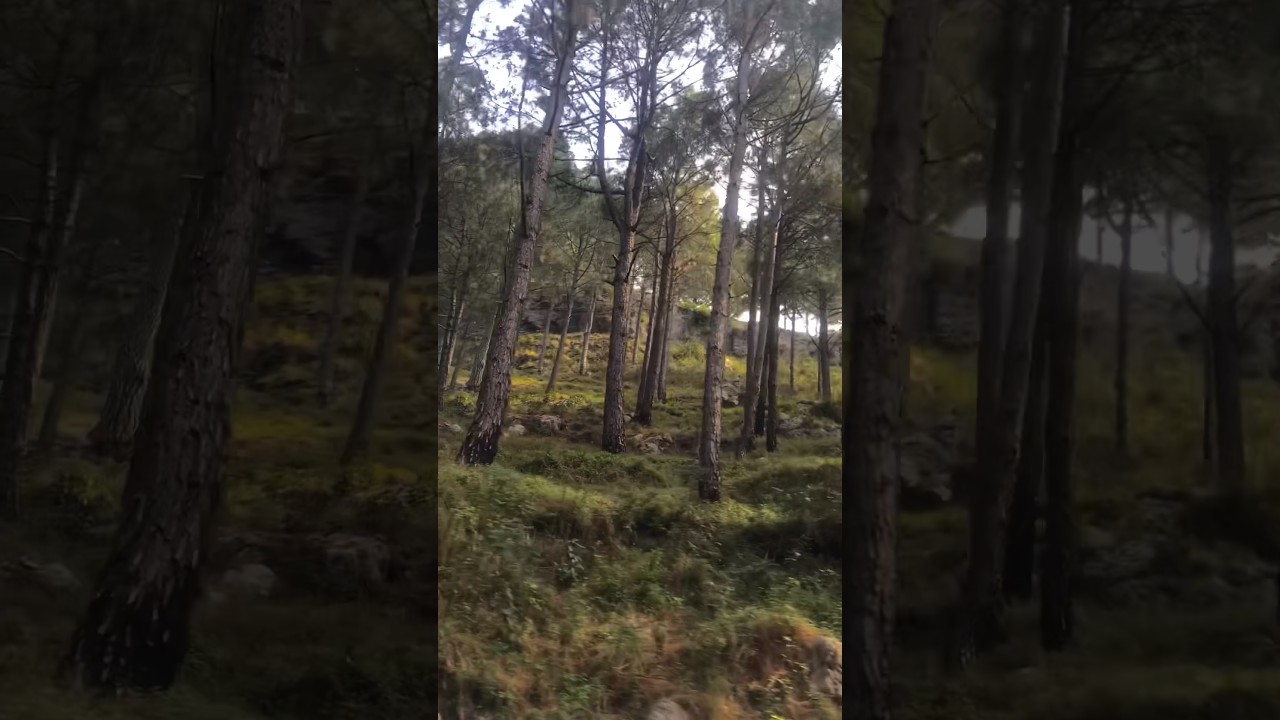 Pir Sohawa Islamabad 💚 