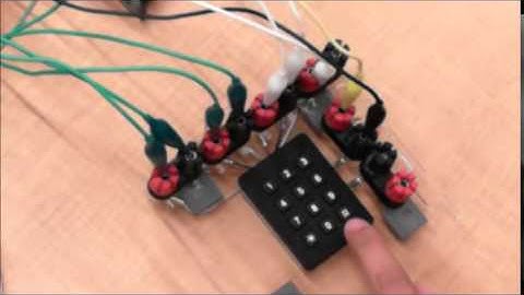 EECS 1011 Lab 6 Part 8