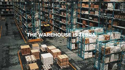 The warehouse is Zebra - Mobile Computer TC53/TC58