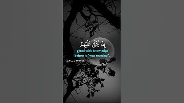 وبالحق أنـزلناه وبالحق نـزل وما أرسلناك إلا مبشرا ونذيرا | الآية 105 من سورة الإسراء 😴🎧